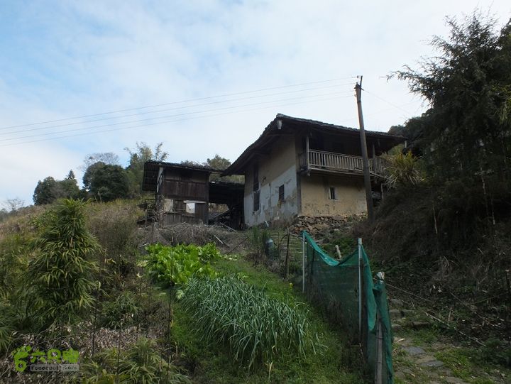 九都村(溫州市文成縣南田鎮九都村)