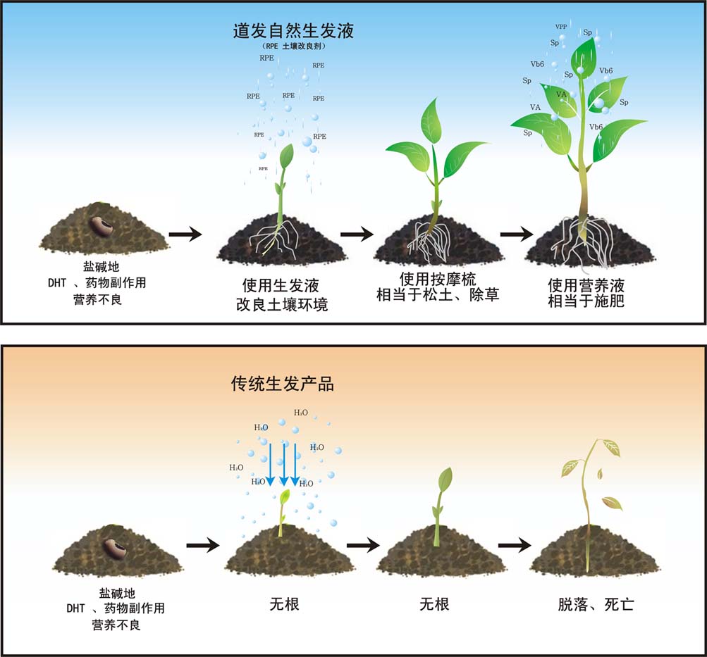 道發自然