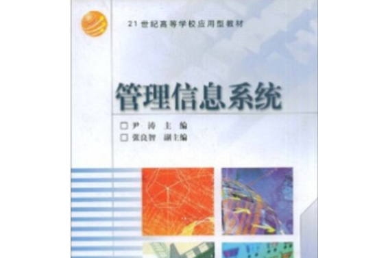 管理信息系統(2005年高等教育出版社出版的圖書)