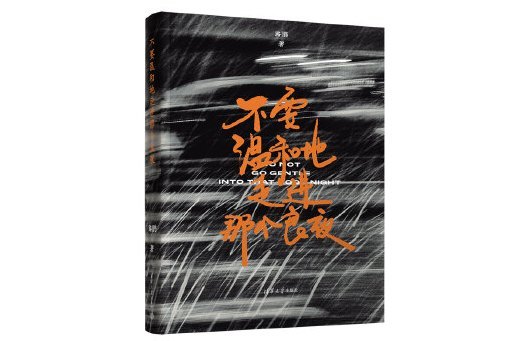 不要溫和地走進那個良夜(2024年清華大學出版社出版的圖書)