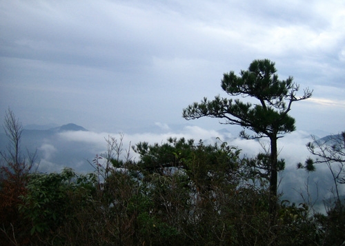 白雲尖景色