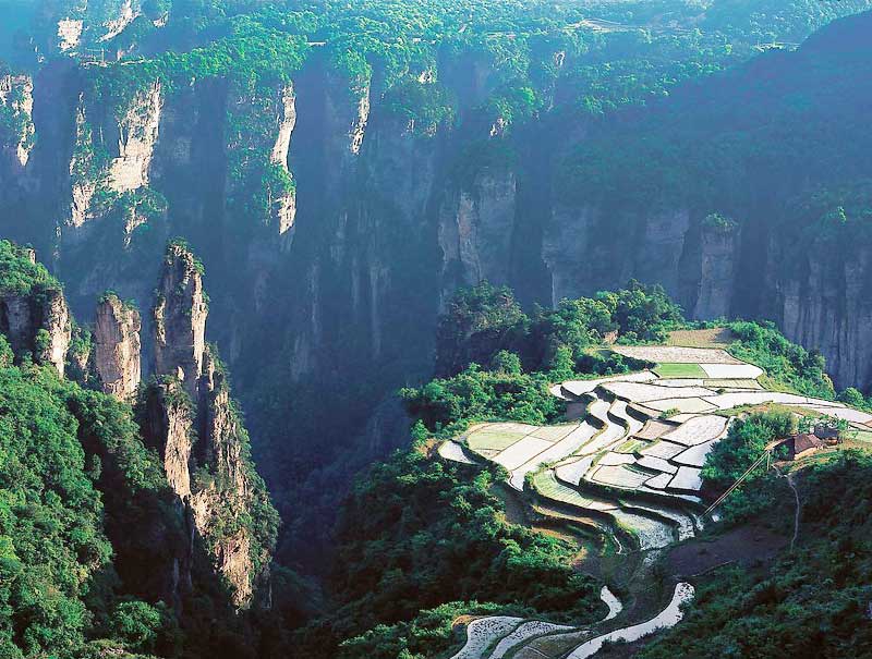 張家界自由風旅行網