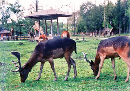 水源山公園