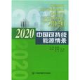 2020中國可持續能源情景