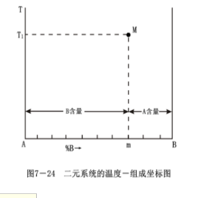 二元系統