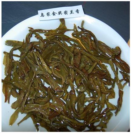 烏龍茶(雙子葉植物綱山茶目植物)