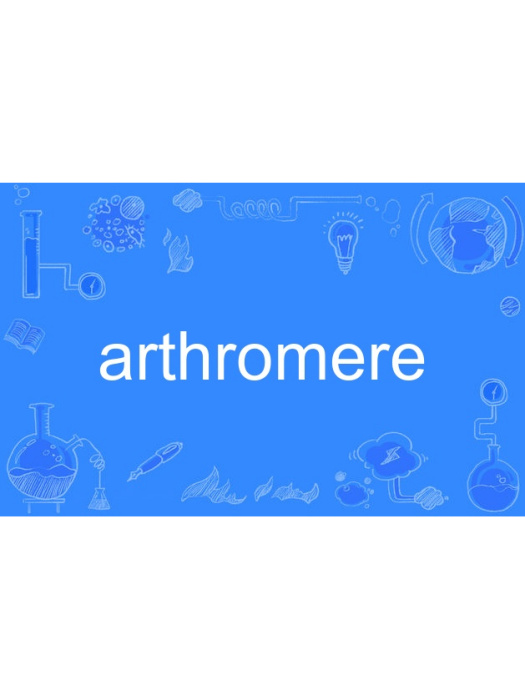 arthromere