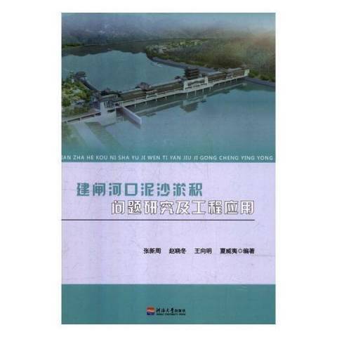 建閘河口泥沙淤積問題研究及工程套用