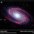 M81