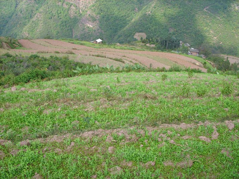 老普墳村