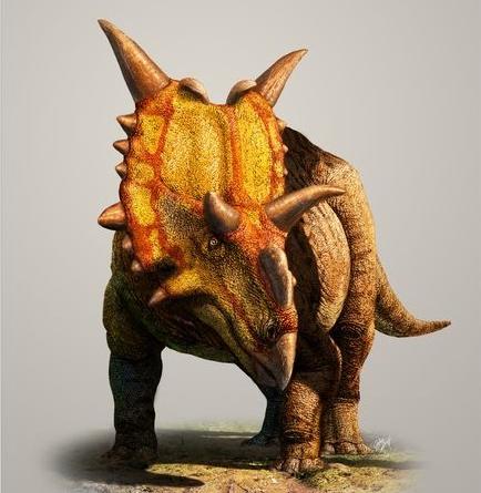 Xenoceratops foremostensis