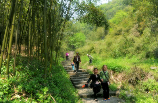 苦竹林自然村(長安鄉天坪村委會下轄自然村)