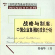 戰略與制度 : 中國企業集團的成長分析