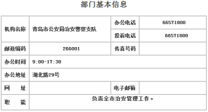 支隊基本信息