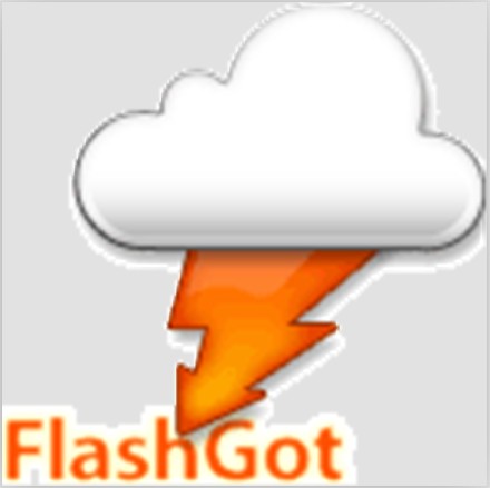 flashgot