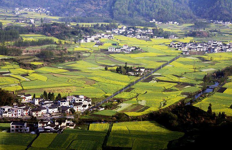 柯村鎮(黟縣柯村)