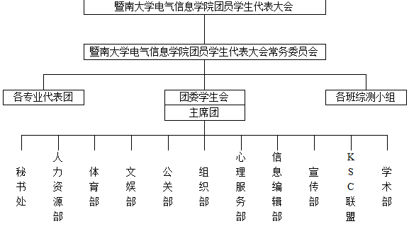 暨南大學電氣信息學院團員學生代表大會