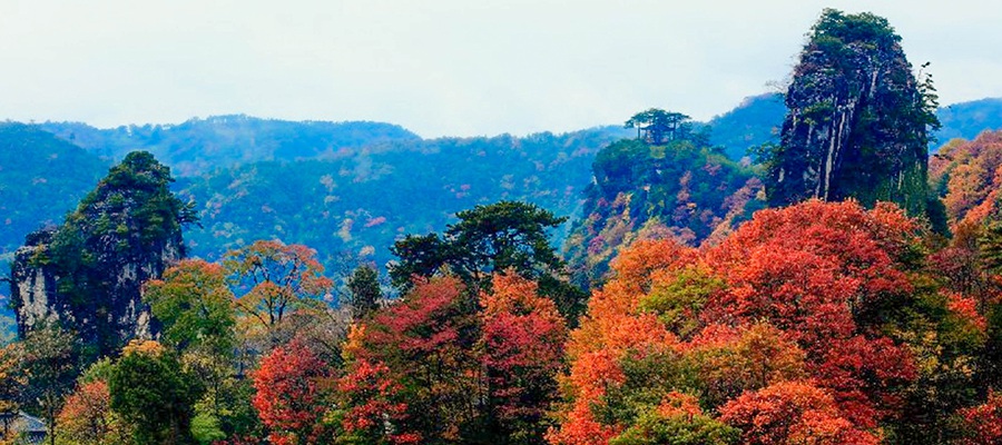 廣元曾家山