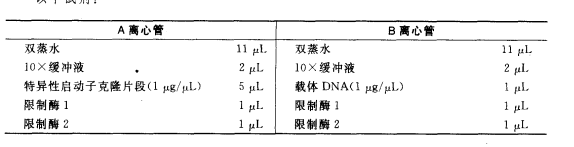 組織特異性表達載體