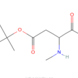 N-甲基-L-天冬氨酸β-叔丁基酯