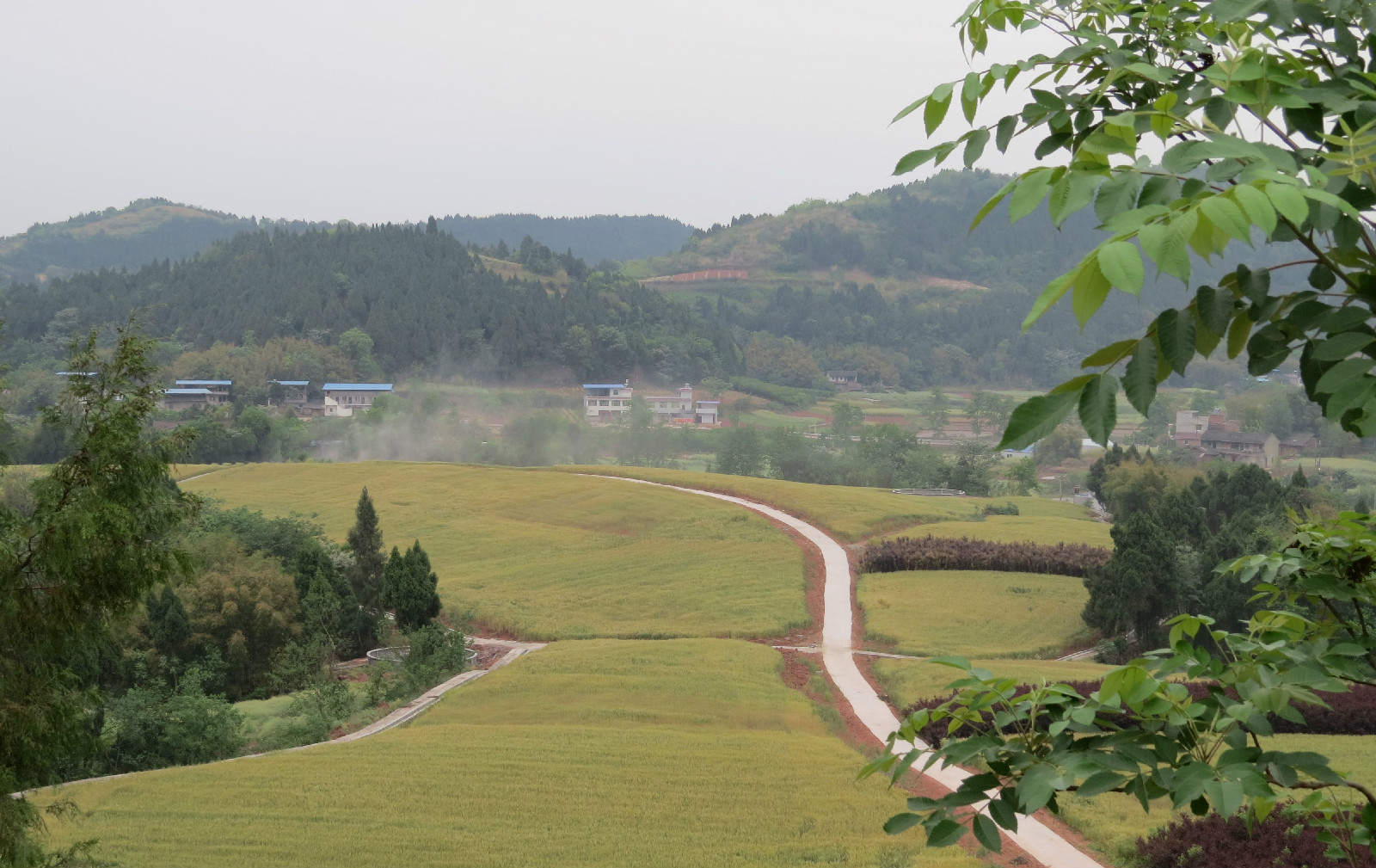 簡陽市農業局