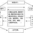 反向物理因子療法