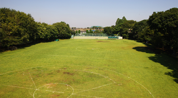 東京女子大學(日本東京女子大學)