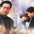 堆積情感(2001年劉蓓主演電視劇)