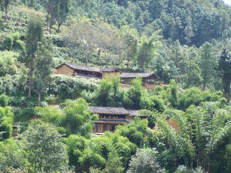 楊家山自然村(雲南省隆陽區瓦窯鎮馬轉彎村下轄自然村)