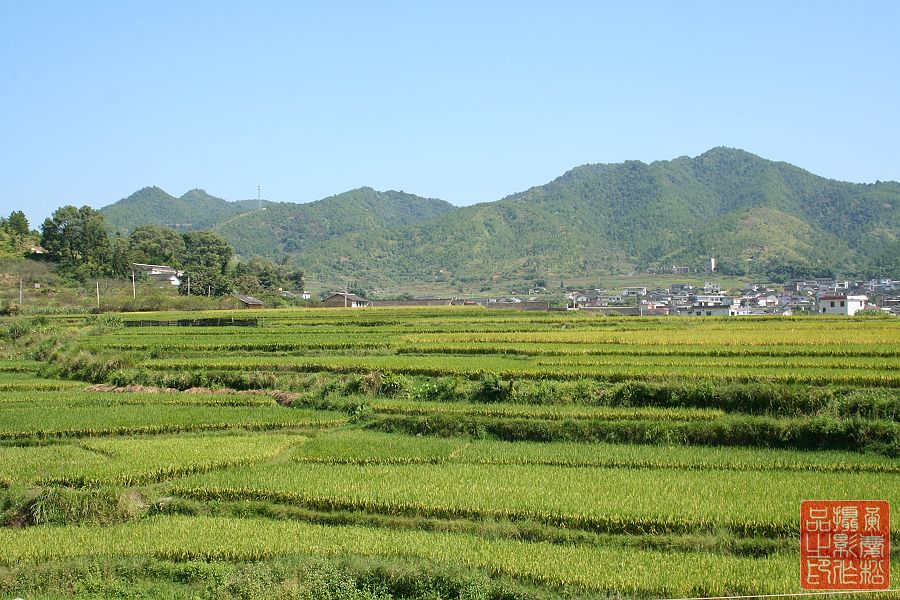 大地村(廣東省梅州市蕉嶺縣藍坊鎮下轄村)