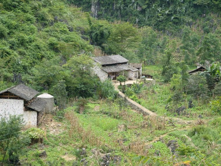 老高箐村(雲南馬關縣坡腳鎮下轄村)