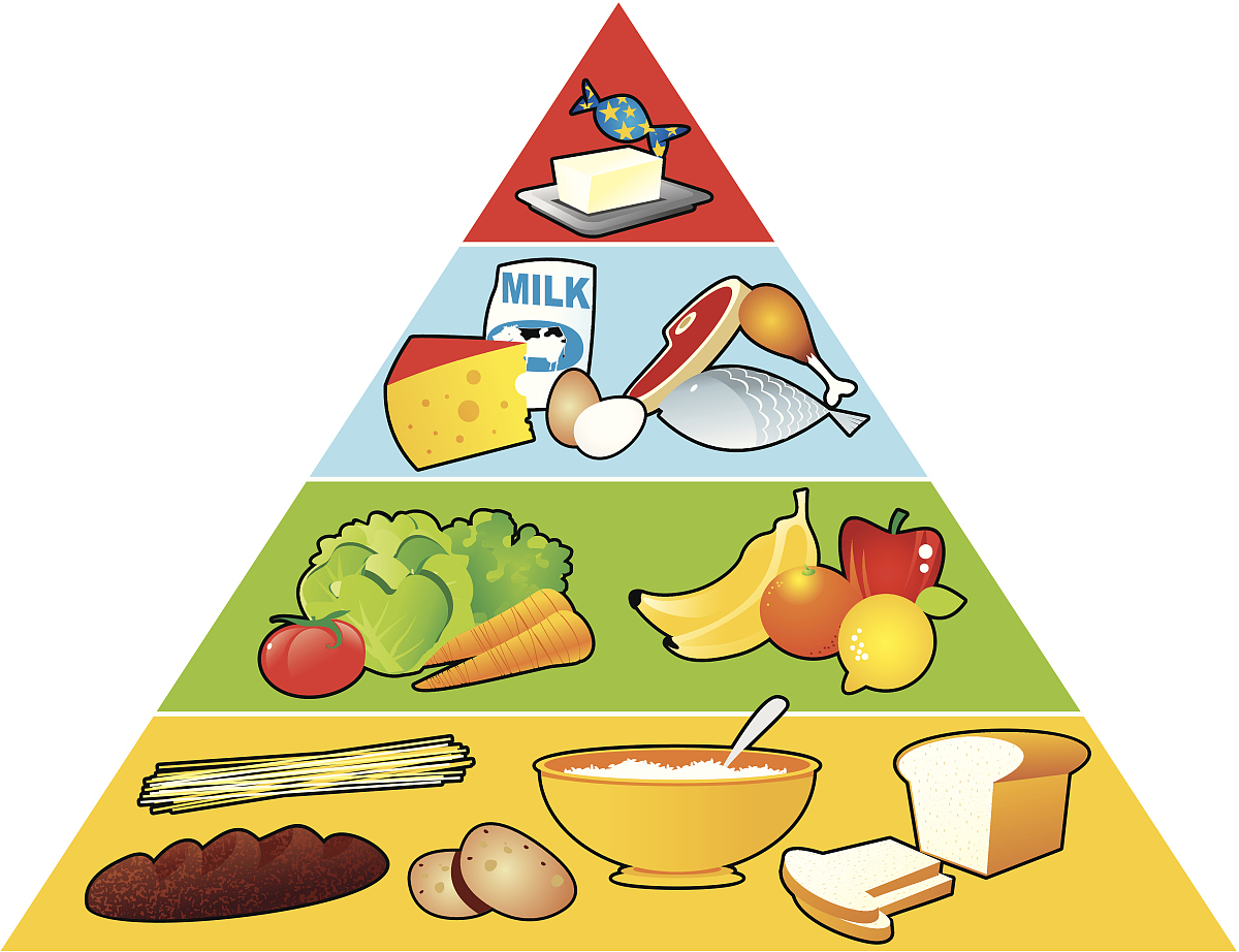 食物金字塔:主要內容,有關定律,相關利弊,新金字塔,新標準優點,_中文百科全書