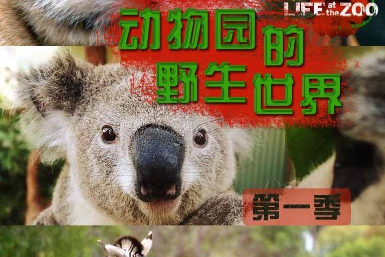 動物園的野生世界第一季