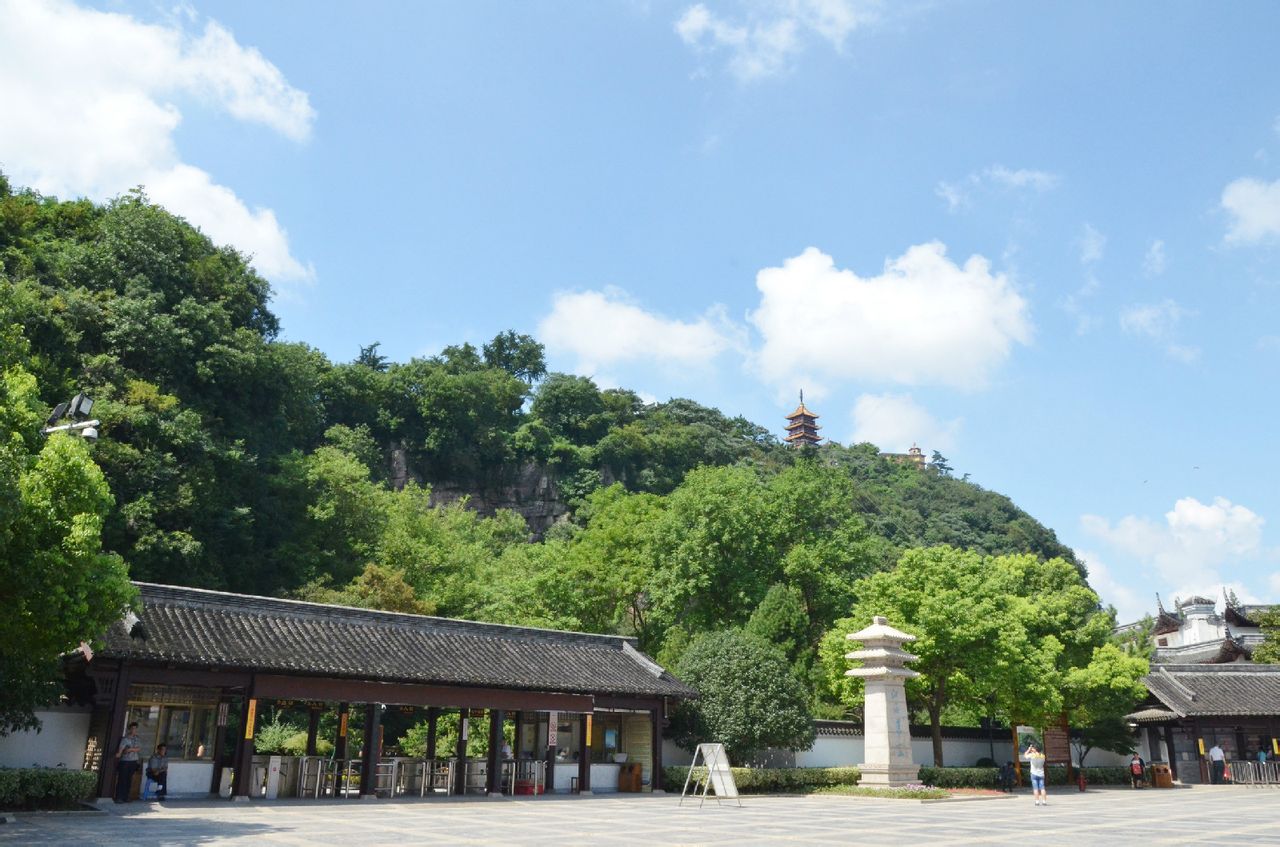 狼山桂花茶