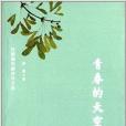 青春的天空(2013年白山出版社出版圖書)