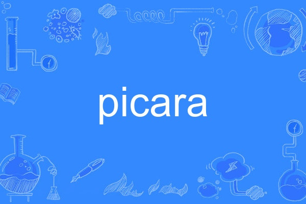 picara