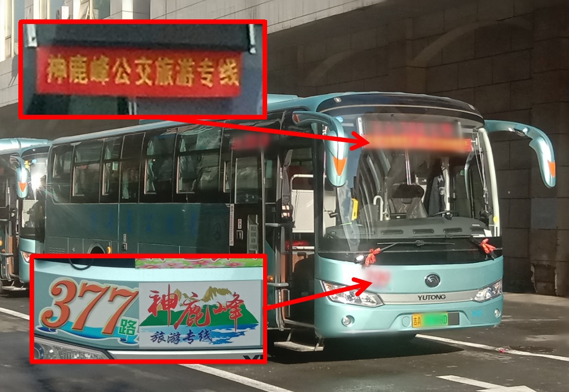 377路神鹿峰旅遊專線車身標識