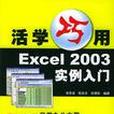 活學巧用Excel 2003實例入門