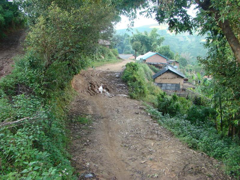 進村道路