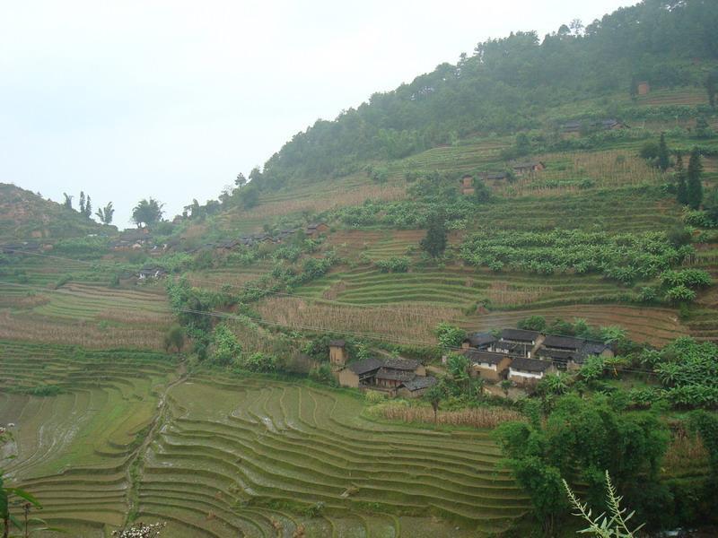 高井槽村(景東彝族自治縣景福鄉竹箐村委會高井槽村)