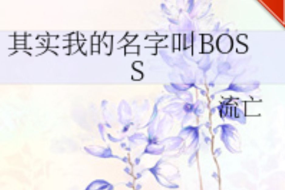 其實我的名字叫BOSS