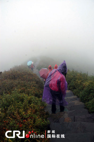 11·5貴州梵淨山景區雷擊傷人事件