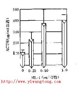 內分泌干擾素