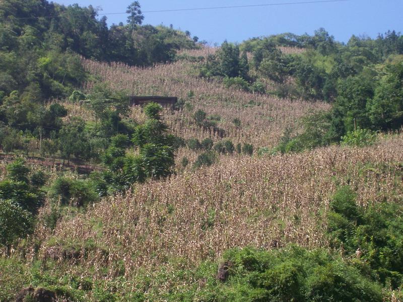 雲豐村(雲南省尋甸縣塘子鎮下轄村)