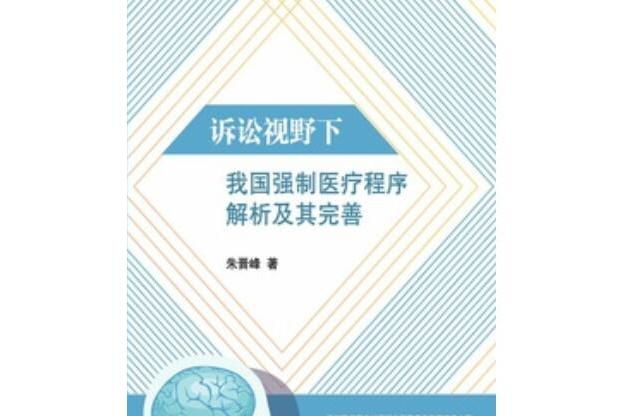 訴訟視野下我國強制醫療程式解析及其完善