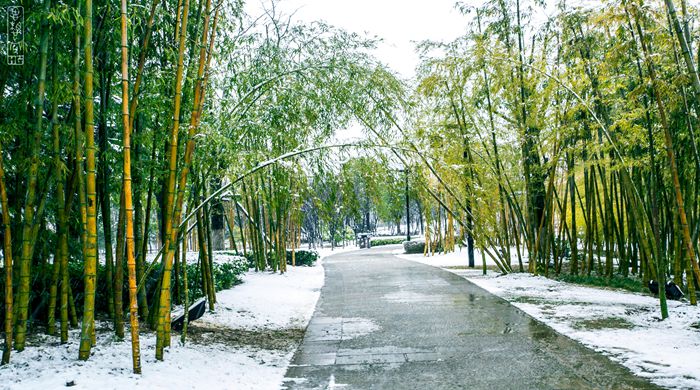 湖北黃岡遺愛湖國家濕地公園