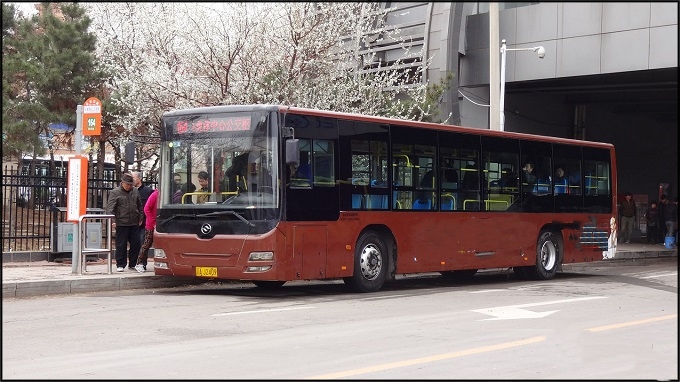 164路歷史車型