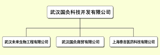 武漢國灸科技開發有限公司