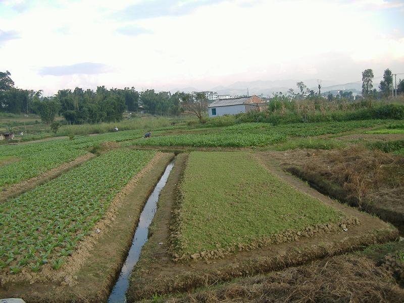 甘東村