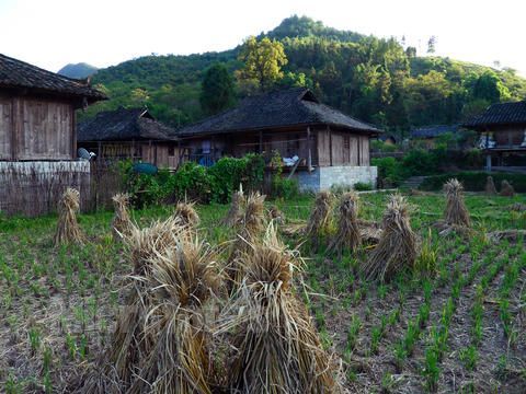 古渡上片村